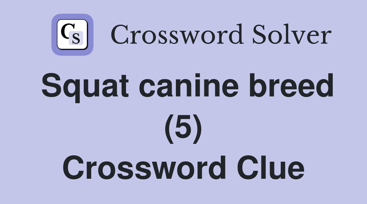 Squat canine breed (5) Crossword Clue Answers Crossword Solver